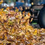 Leaf Removal Services